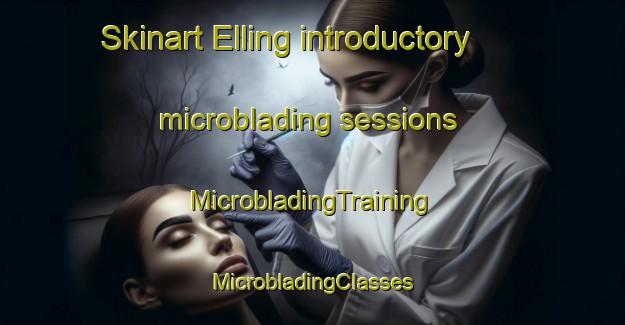 Skinart Elling introductory microblading sessions | #MicrobladingTraining #MicrobladingClasses #SkinartTraining-Denmark