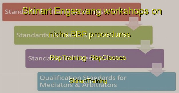 Skinart Engesvang workshops on niche BBP procedures | BbpTraining | BbpClasses | SkinartTraining-Denmark