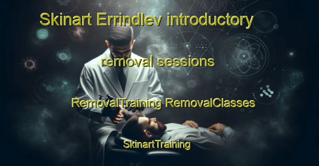 Skinart Errindlev introductory removal sessions | #RemovalTraining #RemovalClasses #SkinartTraining-Denmark