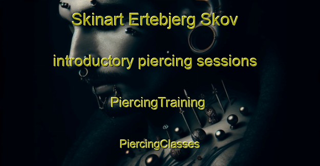 Skinart Ertebjerg Skov introductory piercing sessions | #PiercingTraining #PiercingClasses #SkinartTraining-Denmark