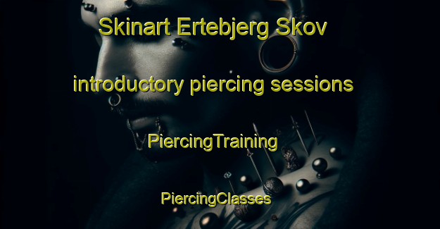 Skinart Ertebjerg Skov introductory piercing sessions | PiercingTraining | PiercingClasses | SkinartTraining-Denmark
