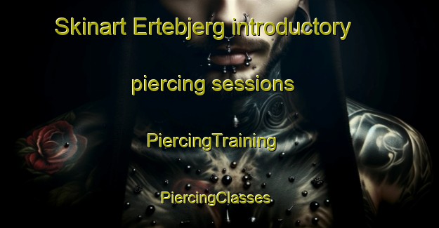 Skinart Ertebjerg introductory piercing sessions | PiercingTraining | PiercingClasses | SkinartTraining-Denmark
