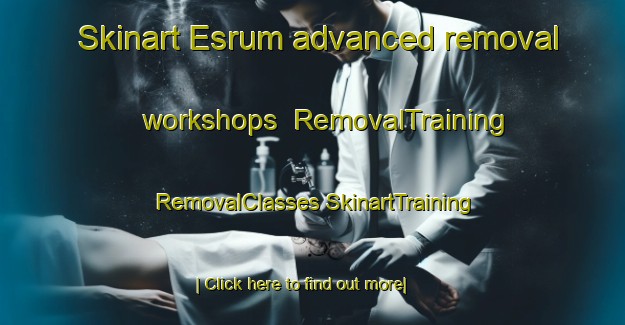 Skinart Esrum advanced removal workshops | #RemovalTraining #RemovalClasses #SkinartTraining-Denmark