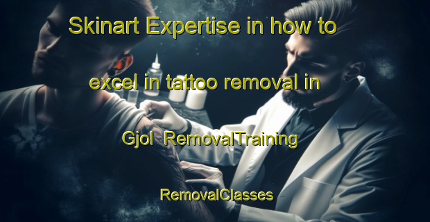 Skinart Expertise in how to excel in tattoo removal in Gjol | RemovalTraining | RemovalClasses | SkinartTraining-Denmark