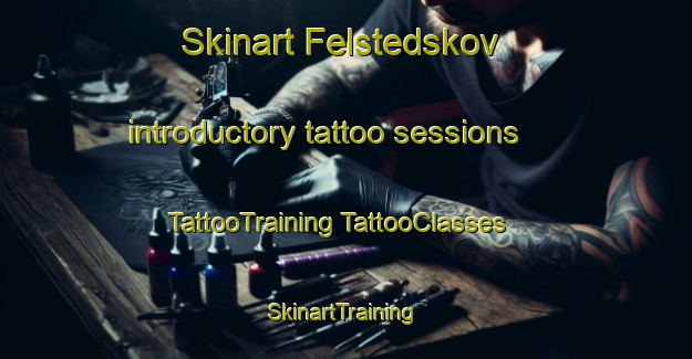 Skinart Felstedskov introductory tattoo sessions | #TattooTraining #TattooClasses #SkinartTraining-Denmark