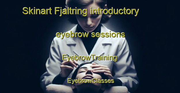 Skinart Fjaltring introductory eyebrow sessions | EyebrowTraining | EyebrowClasses | SkinartTraining-Denmark