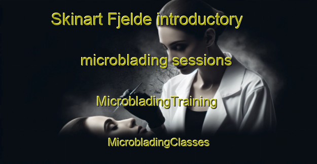 Skinart Fjelde introductory microblading sessions | #MicrobladingTraining #MicrobladingClasses #SkinartTraining-Denmark