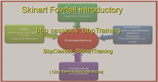 Skinart Fovrfelt introductory bbp sessions | BbpTraining | BbpClasses | SkinartTraining-Denmark