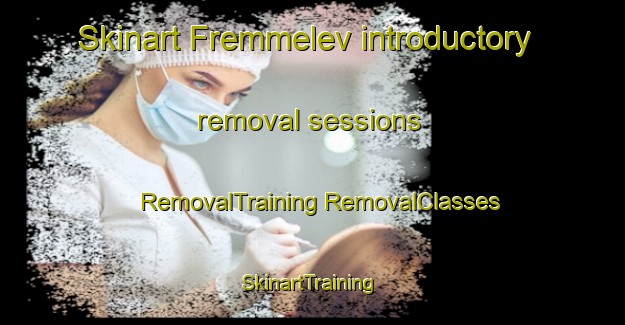 Skinart Fremmelev introductory removal sessions | #RemovalTraining #RemovalClasses #SkinartTraining-Denmark