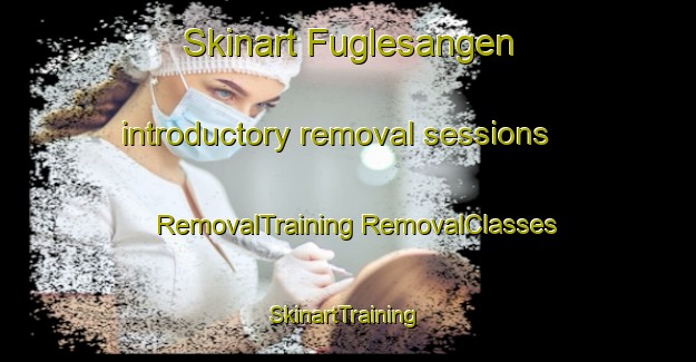 Skinart Fuglesangen introductory removal sessions | #RemovalTraining #RemovalClasses #SkinartTraining-Denmark