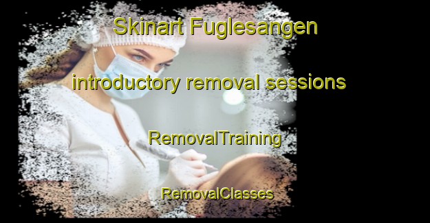 Skinart Fuglesangen introductory removal sessions | RemovalTraining | RemovalClasses | SkinartTraining-Denmark