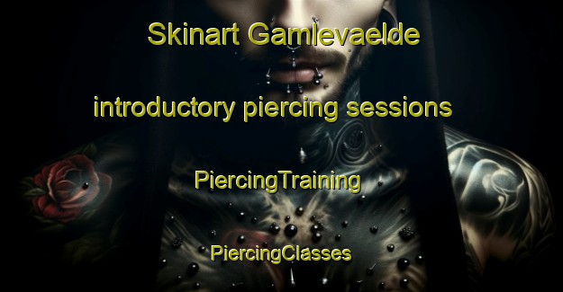 Skinart Gamlevaelde introductory piercing sessions | #PiercingTraining #PiercingClasses #SkinartTraining-Denmark