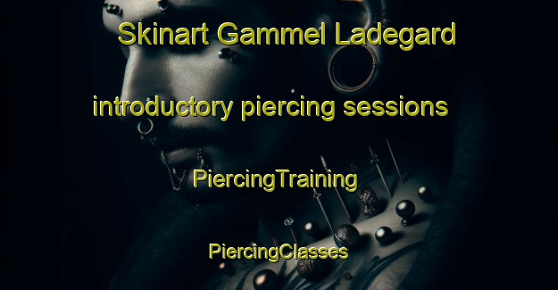 Skinart Gammel Ladegard introductory piercing sessions | #PiercingTraining #PiercingClasses #SkinartTraining-Denmark