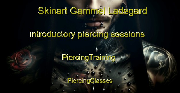 Skinart Gammel Ladegard introductory piercing sessions | #PiercingTraining #PiercingClasses #SkinartTraining-Denmark