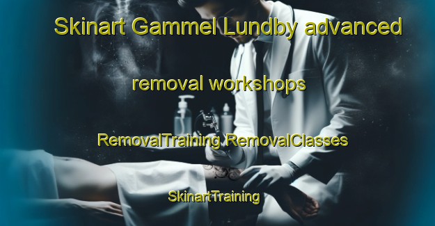 Skinart Gammel Lundby advanced removal workshops | #RemovalTraining #RemovalClasses #SkinartTraining-Denmark