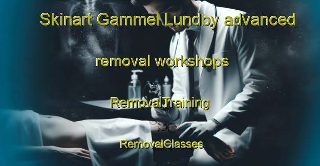 Skinart Gammel Lundby advanced removal workshops | RemovalTraining | RemovalClasses | SkinartTraining-Denmark