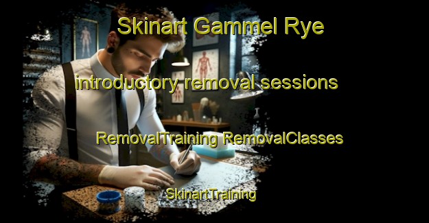 Skinart Gammel Rye introductory removal sessions | #RemovalTraining #RemovalClasses #SkinartTraining-Denmark