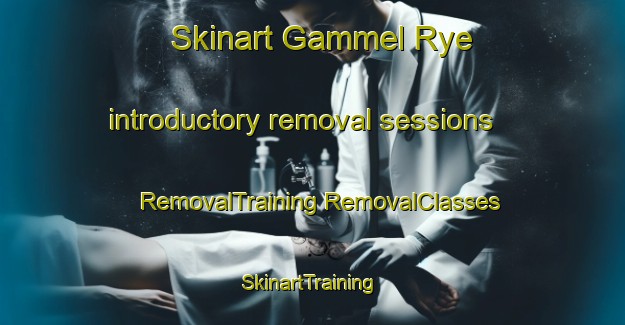 Skinart Gammel Rye introductory removal sessions | #RemovalTraining #RemovalClasses #SkinartTraining-Denmark