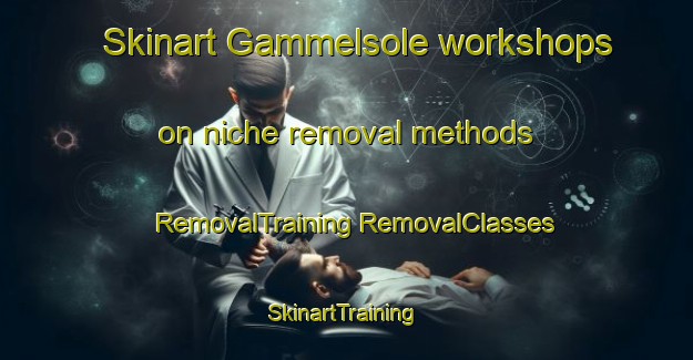 Skinart Gammelsole workshops on niche removal methods | #RemovalTraining #RemovalClasses #SkinartTraining-Denmark