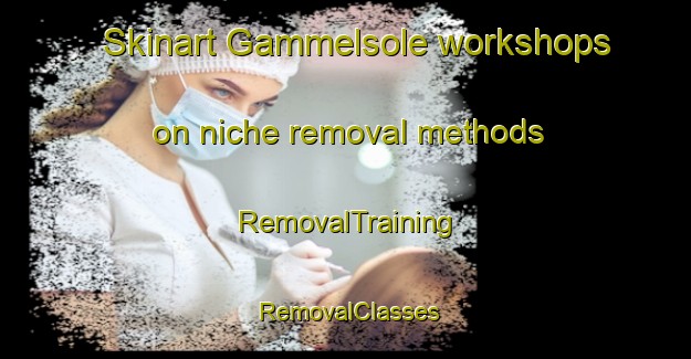 Skinart Gammelsole workshops on niche removal methods | RemovalTraining | RemovalClasses | SkinartTraining-Denmark