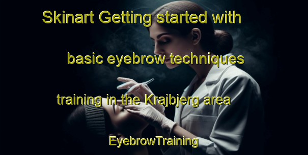 Skinart Getting started with basic eyebrow techniques training in the Krajbjerg area | EyebrowTraining | EyebrowClasses | SkinartTraining-Denmark