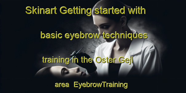Skinart Getting started with basic eyebrow techniques training in the Oster Gejl area | EyebrowTraining | EyebrowClasses | SkinartTraining-Denmark
