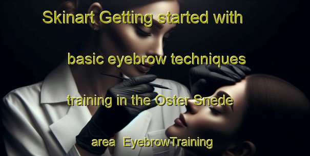 Skinart Getting started with basic eyebrow techniques training in the Oster Snede area | EyebrowTraining | EyebrowClasses | SkinartTraining-Denmark