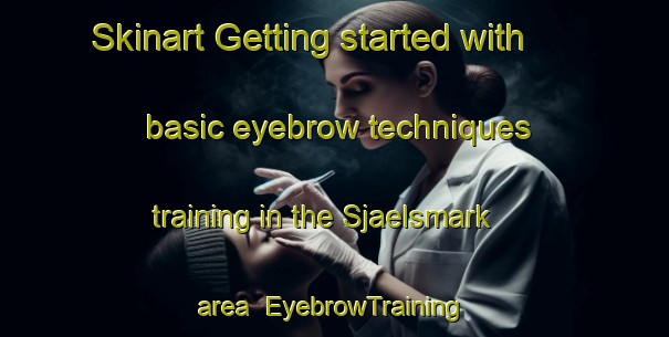 Skinart Getting started with basic eyebrow techniques training in the Sjaelsmark area | EyebrowTraining | EyebrowClasses | SkinartTraining-Denmark