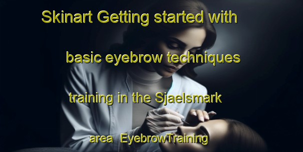 Skinart Getting started with basic eyebrow techniques training in the Sjaelsmark area | EyebrowTraining | EyebrowClasses | SkinartTraining-Denmark
