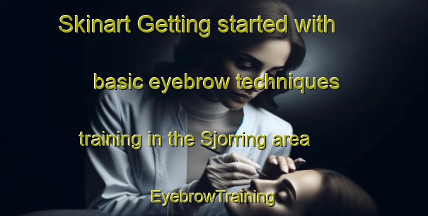 Skinart Getting started with basic eyebrow techniques training in the Sjorring area | EyebrowTraining | EyebrowClasses | SkinartTraining-Denmark