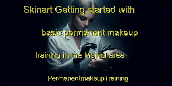 Skinart Getting started with basic permanent makeup training in the Mojbol area | PermanentmakeupTraining | PermanentmakeupClasses | SkinartTraining-Denmark
