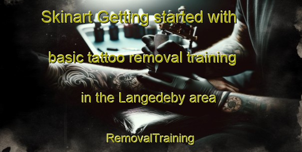 Skinart Getting started with basic tattoo removal training in the Langedeby area | RemovalTraining | RemovalClasses | SkinartTraining-Denmark