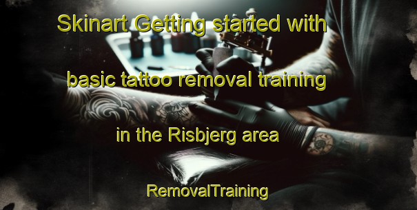 Skinart Getting started with basic tattoo removal training in the Risbjerg area | RemovalTraining | RemovalClasses | SkinartTraining-Denmark