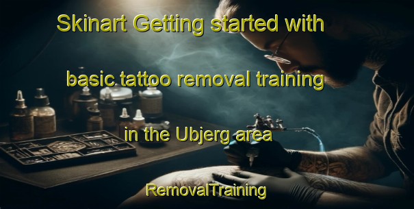 Skinart Getting started with basic tattoo removal training in the Ubjerg area | RemovalTraining | RemovalClasses | SkinartTraining-Denmark
