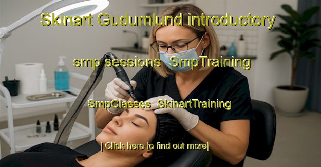 Skinart Gudumlund introductory smp sessions | SmpTraining | SmpClasses | SkinartTraining-Denmark