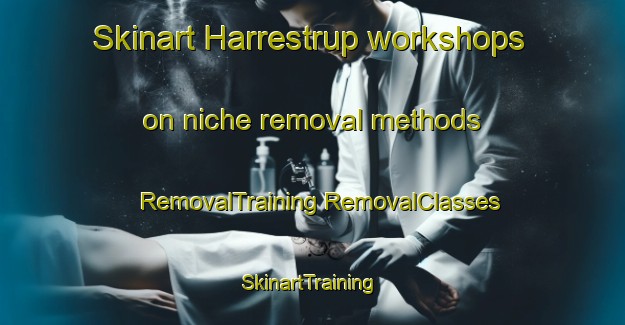 Skinart Harrestrup workshops on niche removal methods | #RemovalTraining #RemovalClasses #SkinartTraining-Denmark