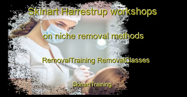 Skinart Harrestrup workshops on niche removal methods | #RemovalTraining #RemovalClasses #SkinartTraining-Denmark