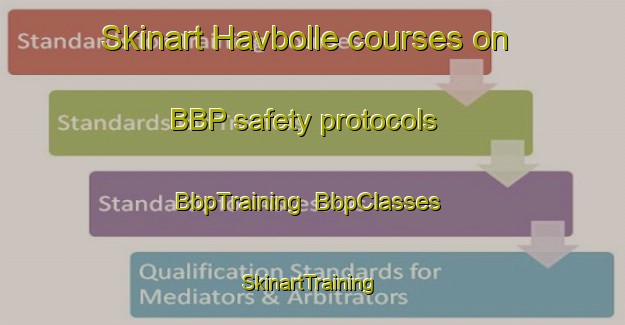 Skinart Havbolle courses on BBP safety protocols | BbpTraining | BbpClasses | SkinartTraining-Denmark