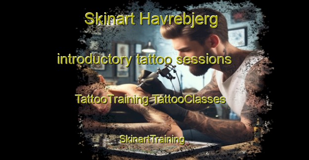 Skinart Havrebjerg introductory tattoo sessions | #TattooTraining #TattooClasses #SkinartTraining-Denmark