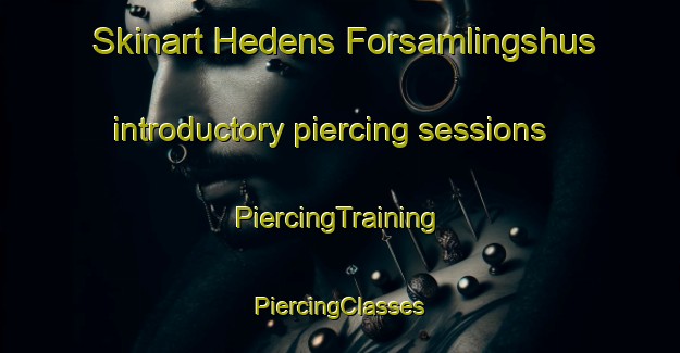 Skinart Hedens Forsamlingshus introductory piercing sessions | #PiercingTraining #PiercingClasses #SkinartTraining-Denmark