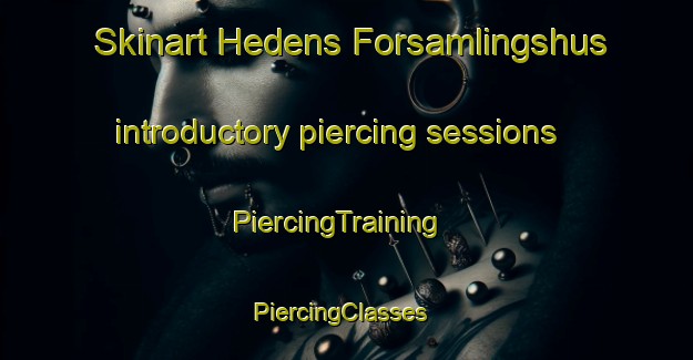 Skinart Hedens Forsamlingshus introductory piercing sessions | PiercingTraining | PiercingClasses | SkinartTraining-Denmark
