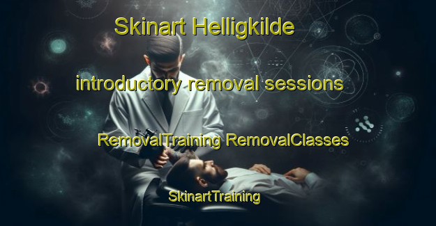 Skinart Helligkilde introductory removal sessions | #RemovalTraining #RemovalClasses #SkinartTraining-Denmark