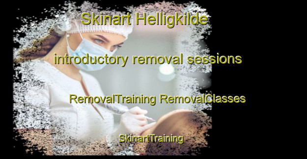 Skinart Helligkilde introductory removal sessions | #RemovalTraining #RemovalClasses #SkinartTraining-Denmark