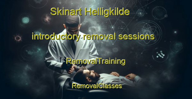 Skinart Helligkilde introductory removal sessions | RemovalTraining | RemovalClasses | SkinartTraining-Denmark