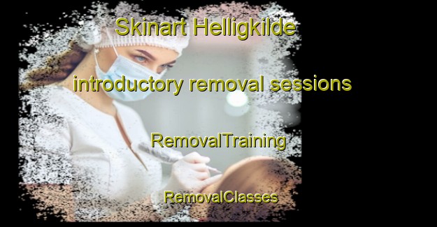 Skinart Helligkilde introductory removal sessions | RemovalTraining | RemovalClasses | SkinartTraining-Denmark