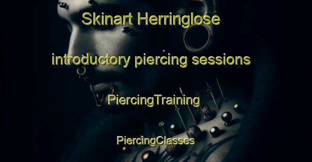 Skinart Herringlose introductory piercing sessions | #PiercingTraining #PiercingClasses #SkinartTraining-Denmark