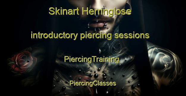 Skinart Herringlose introductory piercing sessions | #PiercingTraining #PiercingClasses #SkinartTraining-Denmark