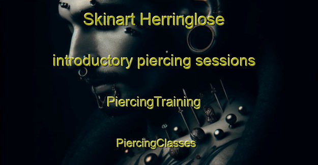 Skinart Herringlose introductory piercing sessions | PiercingTraining | PiercingClasses | SkinartTraining-Denmark