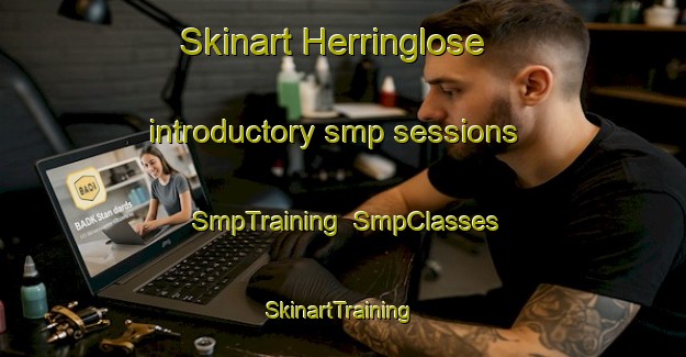 Skinart Herringlose introductory smp sessions | SmpTraining | SmpClasses | SkinartTraining-Denmark