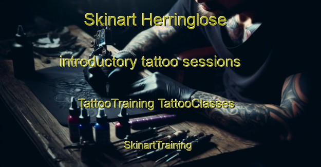 Skinart Herringlose introductory tattoo sessions | #TattooTraining #TattooClasses #SkinartTraining-Denmark